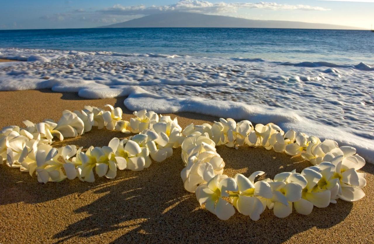 Ferienwohnung Beautifully Upgraded Studio Close To Waikiki Beach Honolulu Exterior foto